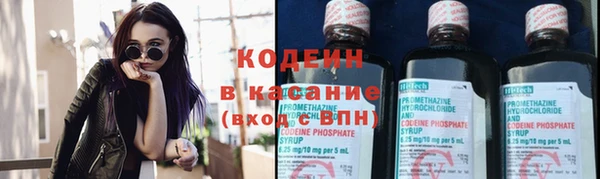 амф Аркадак