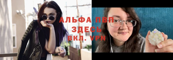 амф Аркадак