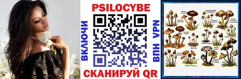 МЕГА маркетплейс  купить   Сосенский  Псилоцибиновые грибы Psilocybe 